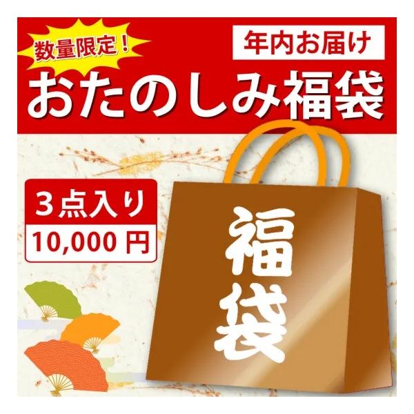 福袋 雑貨 日用品 財布 バック のれん 枕 マット 毛布 サンダル 草履 パンプス 便利グッズ 掃除グッズ Eclea 爆売 爆買 (選べるおたのしみ福袋 3点 Cタイプ)