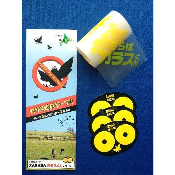 SARABAJXV[Ye[vy100×c6000zi1{EXebJ[3Zbgj