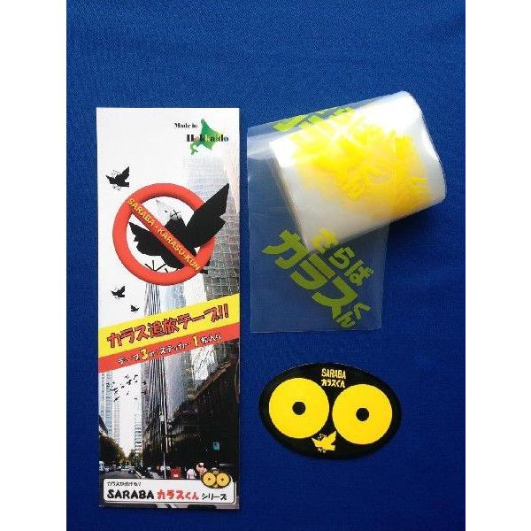 SARABAJXV[Ye[vy100×c3000zi1{EXebJ[1Zbgj