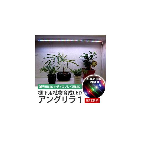 棚下用植物育成led アングリラ1 Buyee Buyee 提供一站式最全面最專業現地yahoo Japan拍賣代bid代拍代購服務bot Online