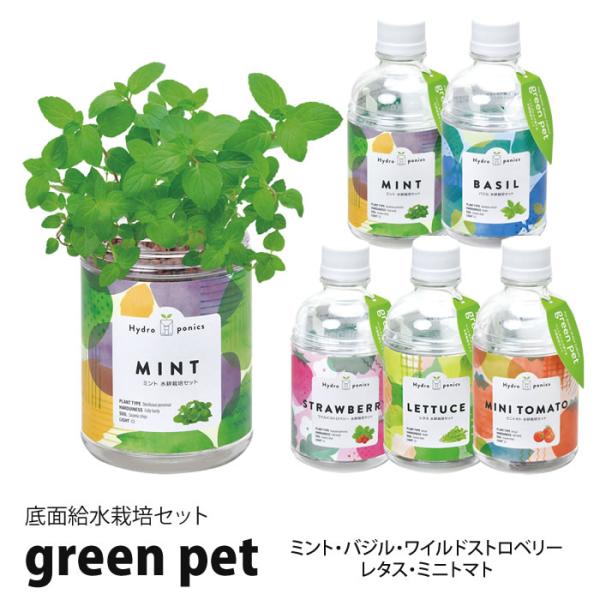 関連／ 水耕栽培 野菜 ハーブ 栽培セット 室内栽培 室内菜園 キッチンガーデン キッチン菜園 栽培ケース 栽培容器 液体肥料 スポンジ培地 種 タネ