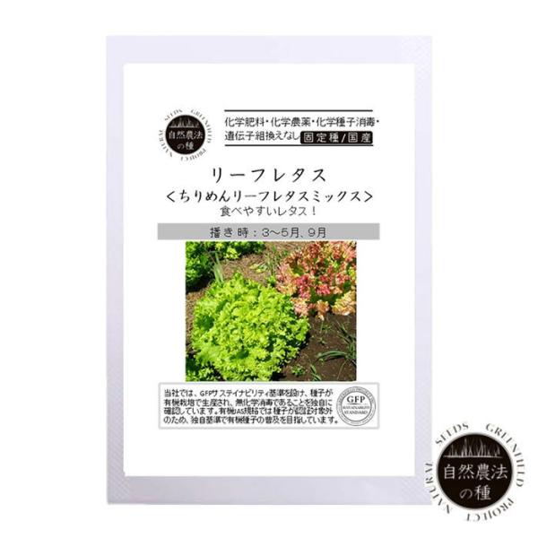  R_@̎ [t^X ߂ [t^X~bNX