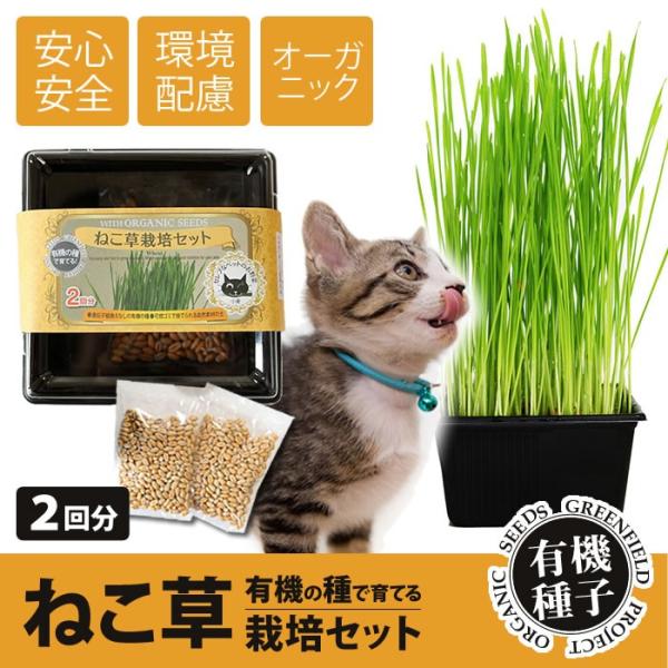 L L͔|Zbg I[KjbN  2 L@