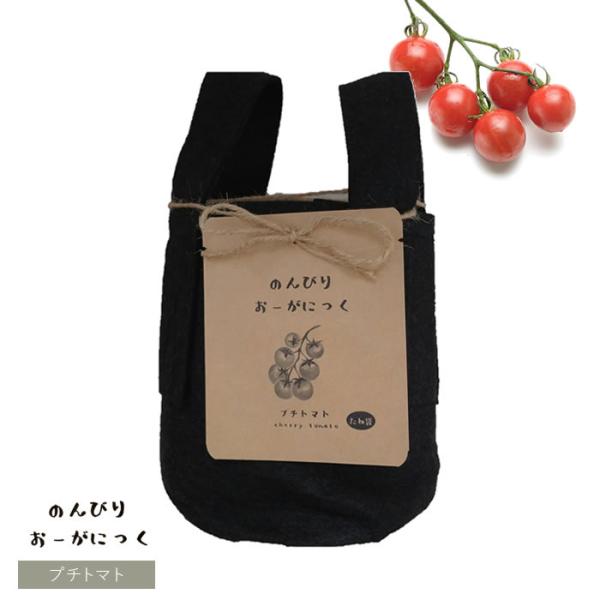 ミニトマト 栽培セットの人気商品 通販 価格比較 価格 Com