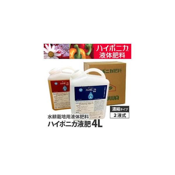 k͔| 엿 nC|jJ t̔엿 4L t ABt 2{g