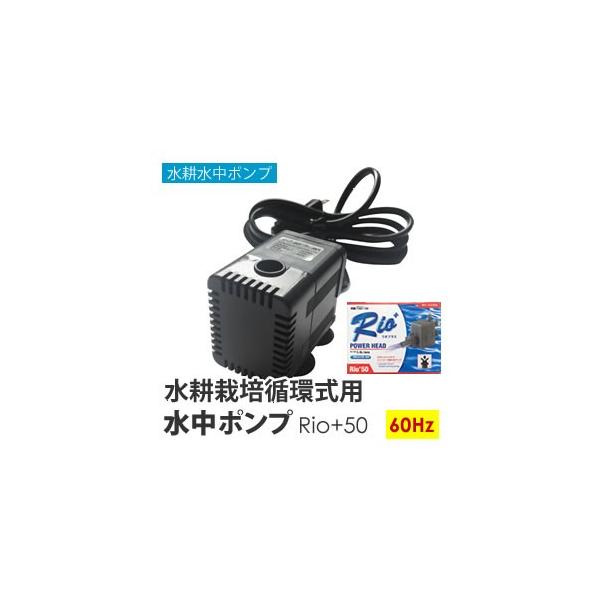 |v k͔| zp Rio+50 60Hz