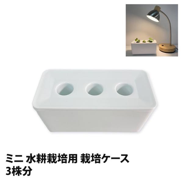 関連／ 水耕栽培 栽培容器 水耕栽培容器 栽培ケース 野菜栽培 栽培