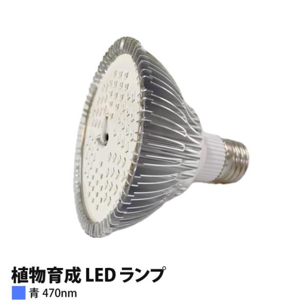 �A���琬 LED �����v�i�j100W���� PAR30-470nm �y�㋉�Ҍ����z ���i�摜