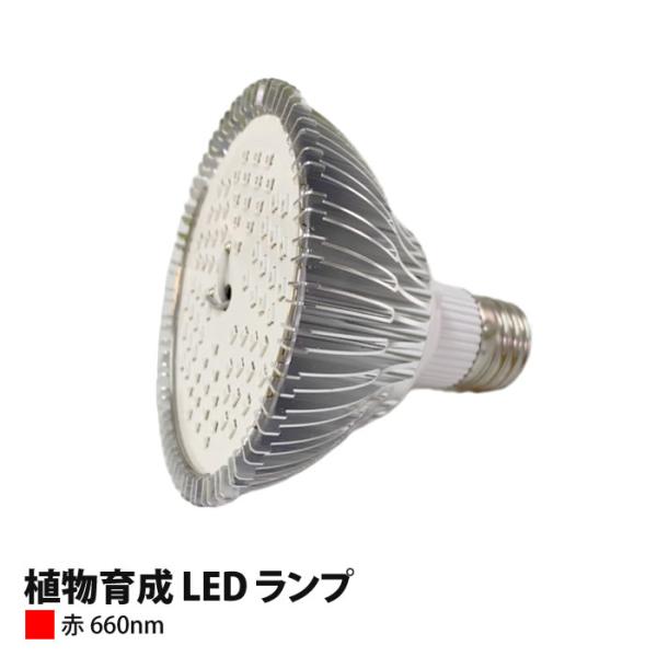 植物育成 LED ランプ（赤）100W相当 PAR30-660nm 上級者向け : 水耕