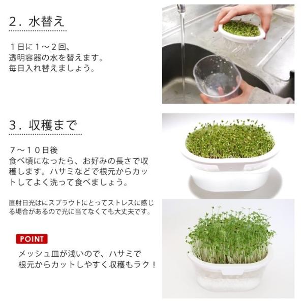 種 有機種子 ブロッコリースプラウト栽培 お得セット Buyee Buyee 日本の通販商品 オークションの代理入札 代理購入