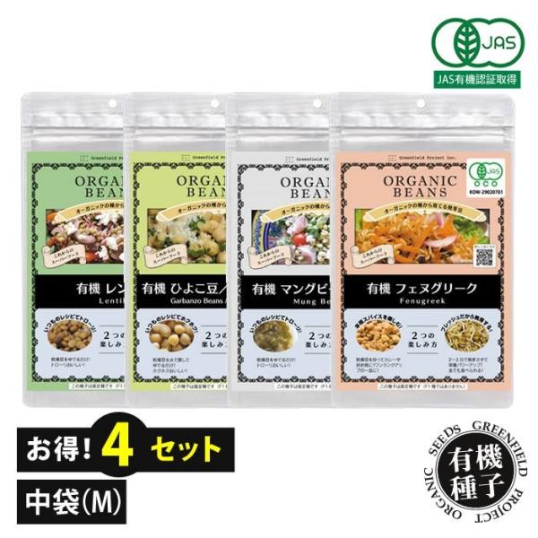   L@q 4Zbg 蓤 XvEg