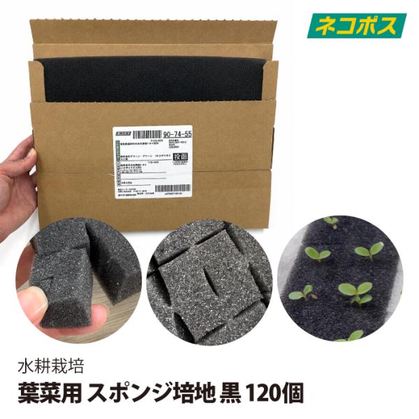 ネコポス専用 葉物野菜 ハーブ用 スポンジ培地 黒 120個 送料込 単品購入限定