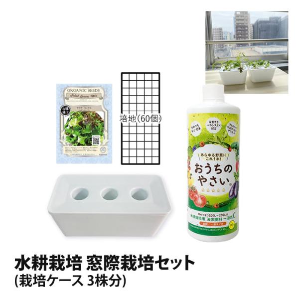 栽培キット3個セット　発送込み 楽天市場】水耕栽培キット 栽培キット 窓際菜園セット 栽培