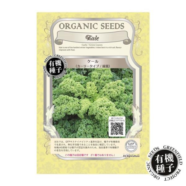 󂠂  L@q P[ J[[^Cv Ηt