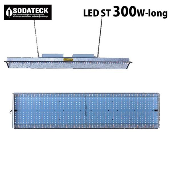 SODATEC LEDライト ST-300 SODATEC】 LED ST-300W | 植物育成灯,LED-SODATEC | Tree people