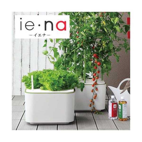 販売終了 水耕栽培キットie Na イエナ Buyee Buyee 提供一站式最全面最專業現地yahoo Japan拍賣代bid代拍代購服務bot Online