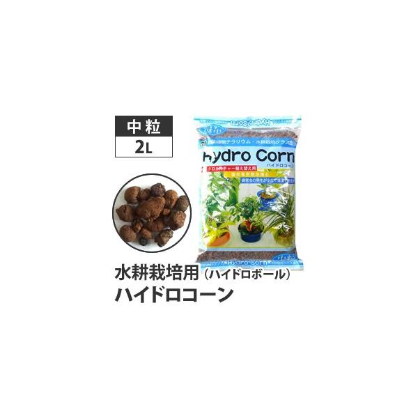 k͔| nChR[ nCh{[  2L