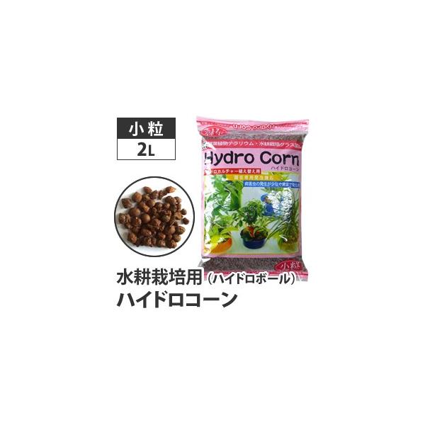 k͔| nChR[ nCh{[  2L