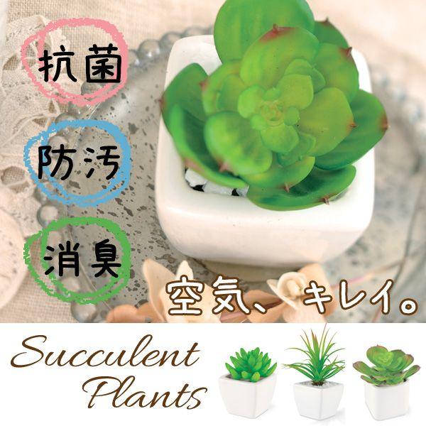 造花 観葉植物 サキュレントプランツ Lサイズ造花 光触媒 インテリア Ct触媒 人工観葉植物とげとげ のっぽ まる Kishima キシマ Buyee Buyee Japanese Proxy Service Buy From Japan Bot Online