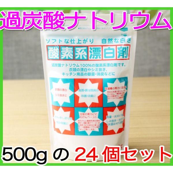 過炭酸ナトリウム 業務用 酸素系漂白剤 粉末 500g 24個セット過炭酸ナトリウム 12kg 洗濯槽クリーナー 酸素系 除菌 洗濯槽 防止 地の塩社 Set 00 キッチン雑貨のお店 エコキッチン 通販 Yahoo ショッピング