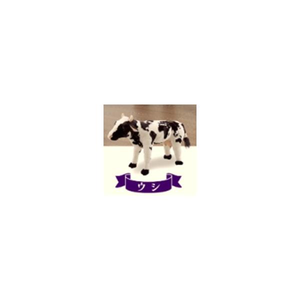 KNZ Aj}V[Y (EV2) 5-SD52U KSK