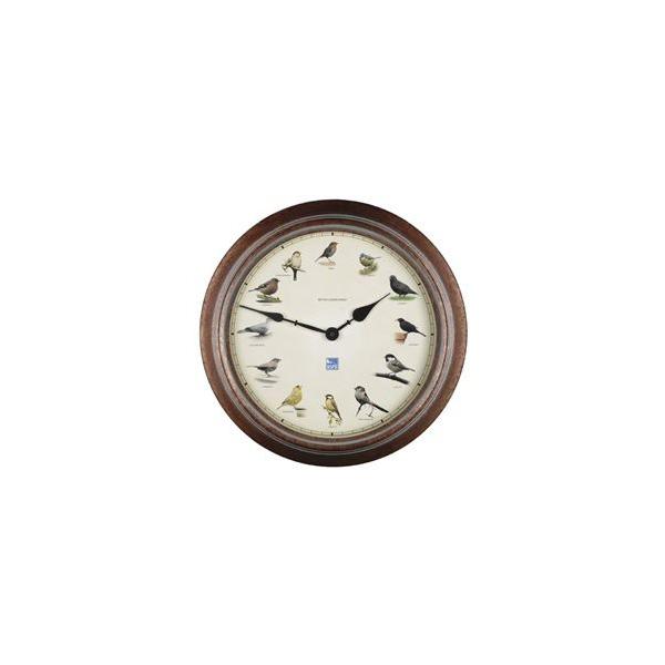 X}[g(CMX) yGA著zK[fNbN uE NbN o[h SE13301