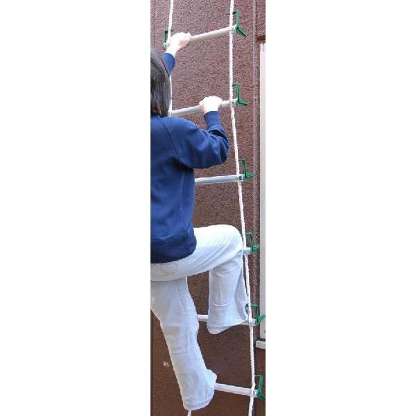 g[[ΊH yi[tIz͂ I[II^(σtbN) 2Kp S5.4m (Fi)+i[P[XZbg 2016+No3 