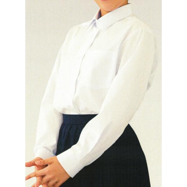 COLLEGE CLUBの立襟長袖ブラウスになります。形態安定加工でお手入れもラクラク！■製品仕様■  * 綿35%ポリエステル65%  * レギュラーシルエット  * 形態安定【ランク】新品未使用- ダメージポイント -　なし＊ご注意エコ...