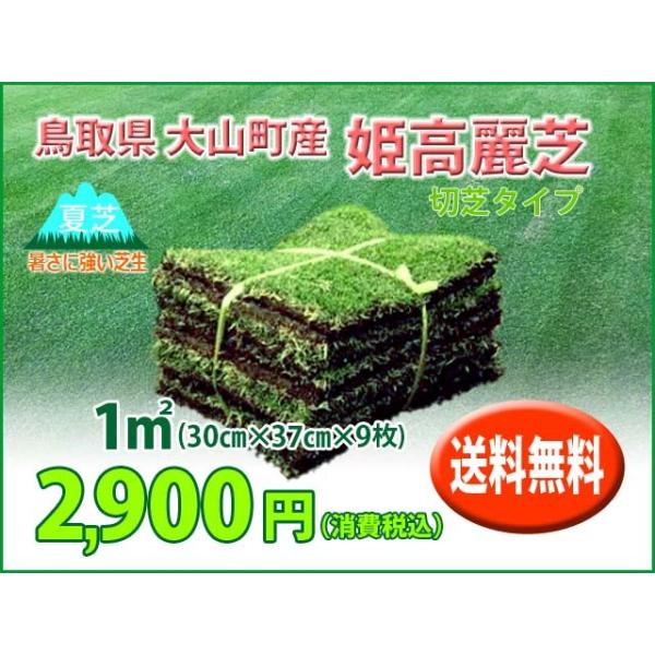 送料無料 芝生 姫高麗芝 切芝1平米 30cm 37cm 9枚 数量限定 Buyee 日本代购平台 产品购物网站大全 Buyee一站式代购bot Online