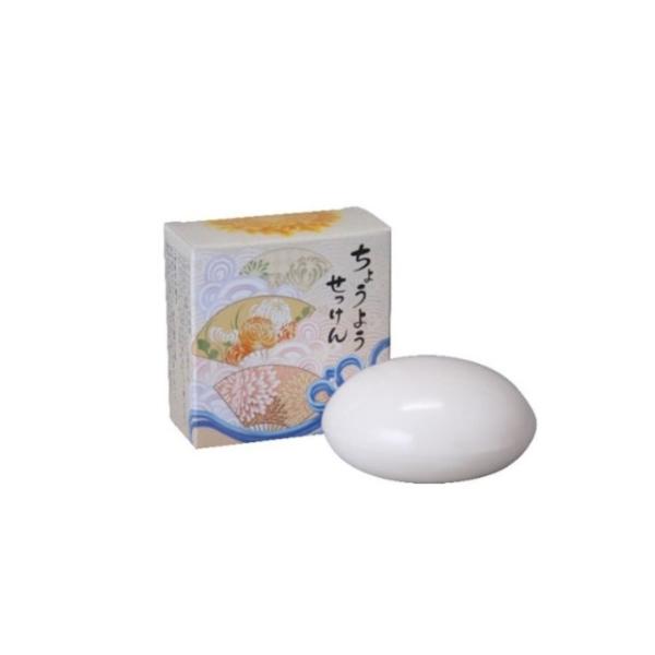 「ちょうようせっけん 100g」お試し１個販売 豊かな泡立ち 植物由来 リピジュア配合 きめ細かな泡立ち 天然脂肪酸 無香料 無着色 合成界面活性剤不使用