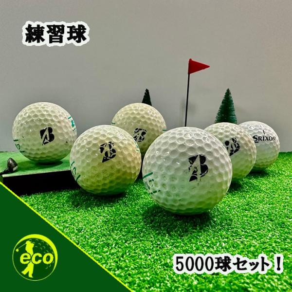 レンジボール 5000球 訳アリ 中古 ゴルフボール ロスト エコ レンジボール 5000球 訳アリ 中古 ゴルフボール ロスト エコ