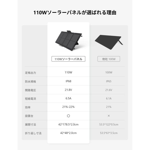 ecoflow_efsloar110w_2_d_20250326120735