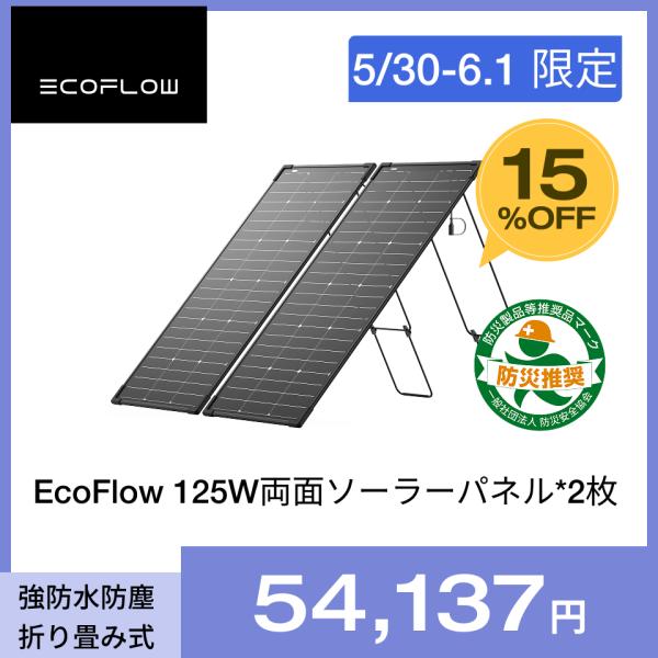ECOFLOW EcoFlow 125W 2枚 両面ソーラーパネル IP68 防水防塵 ECOFLOW EcoFlow 125W 2枚 両面ソーラーパネル IP68 防水防塵