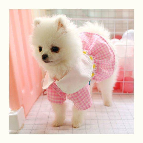 ペット用品 ドックウェア 犬用品 洋服 ワンピース 女の子 襟付き てんとう虫 爽やか 小花 チェック柄 可愛い ホワイト ピンク イエロー レッド雑貨 Acb48 Lv 0908 Cw192 Ecology Plus 通販 Yahoo ショッピング