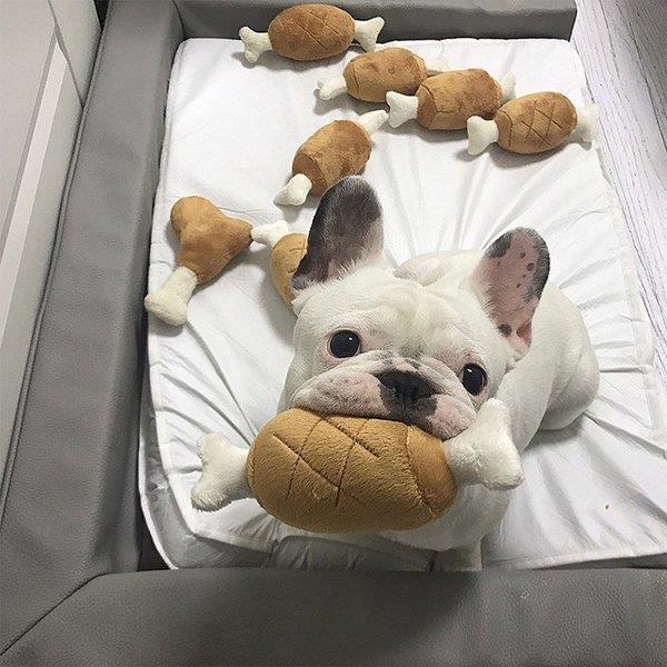ペット 犬 おもちゃ 猫 おもちゃ ぬいぐるみ 肉 フードモチーフ ふかふか ブラウン ホワイト ギフト 贈り物 癒し セレブ 犬用品 ペット用品 可愛い Lv Cwyp2 0606u44 Ecology Plus 通販 Yahoo ショッピング