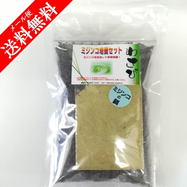 ミジンコ培養セット