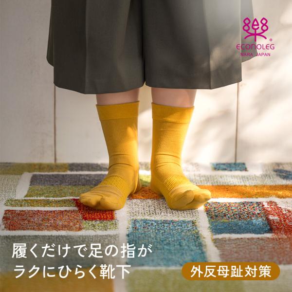 履くだけで足の指がラクにひらく靴下 2026年リニューアルタイプ 外反母趾 浮き指 タビ あしサポ  奈良産 日本製  靴下 テーピング  西垣靴下 エコノレッグ