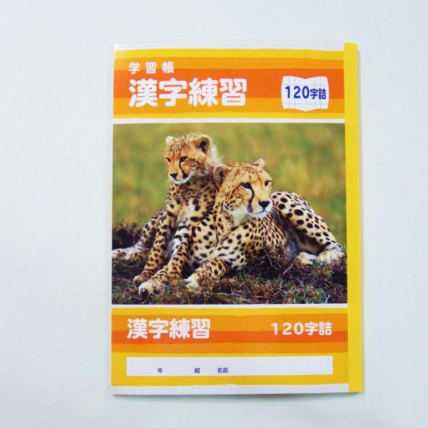 TtCWp@wK@K@PQO@500-2428 5002428