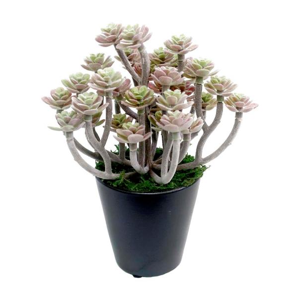 yTTKz lHϗtA p[vZ_ ~jTCY 32-8700