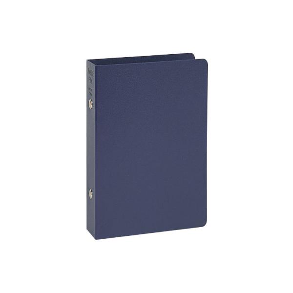 sCCt |PbgTCY tBt@C (lCr[) WPF401K