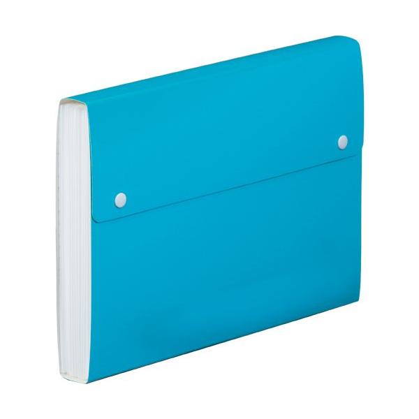 �L���O�W����KING JIM�� �s���������h�L�������g�t�@�C�� 2273TF�A�I