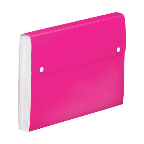 �L���O�W����KING JIM���@�s���������h�L�������g�t�@�C���@2273TF�q��