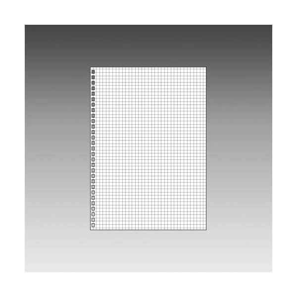 LIHIT LAB.＜リヒトラブ＞ ツイストリング・ノート(専用リーフ・B5方眼)　N1600S(N-1600S)