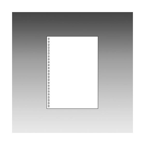 Lihit Lab リヒトラブ ツイストリング ノート 専用リーフ A5無地 N1650p N 1650p 254 イーコンビyahoo 店 通販 Yahoo ショッピング