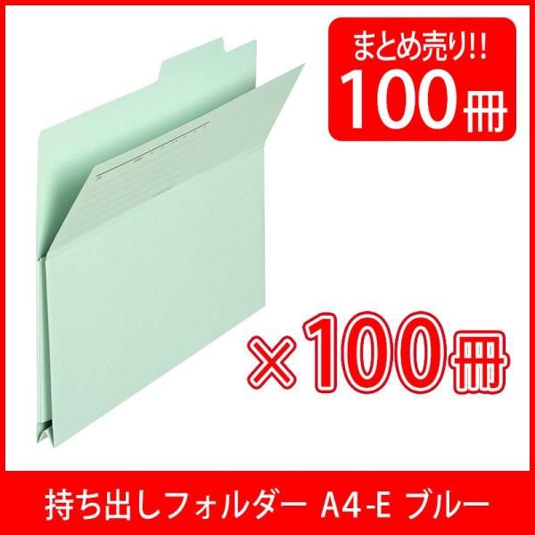 vX(PLUS) otH_[ Îpv95Đ A4-E u[ 100 FL-061PF  87-135