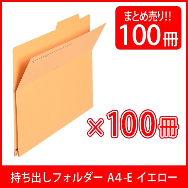 vX(PLUS) otH_[ Îpv95Đ A4-E CG[ 100 FL-061PF  87-137