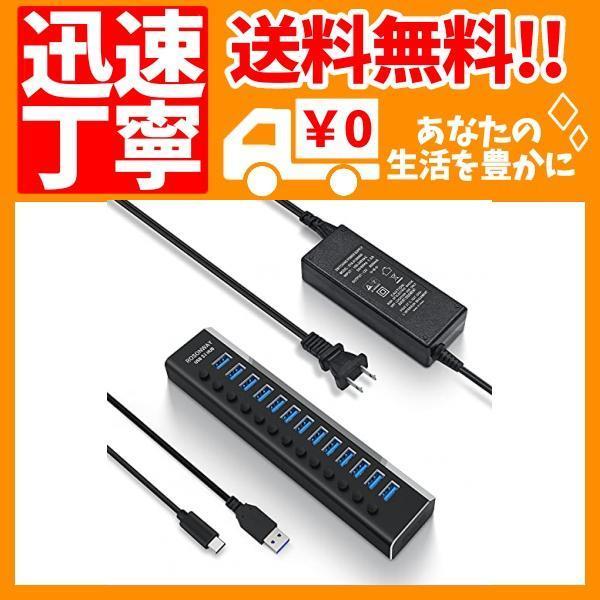 良好品】 ROSONWAY USB ハブ 3.1 Gen2 13ポートアルミ製 econet.bi
