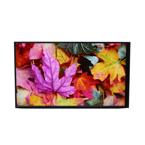 パナソニックの43型モニター