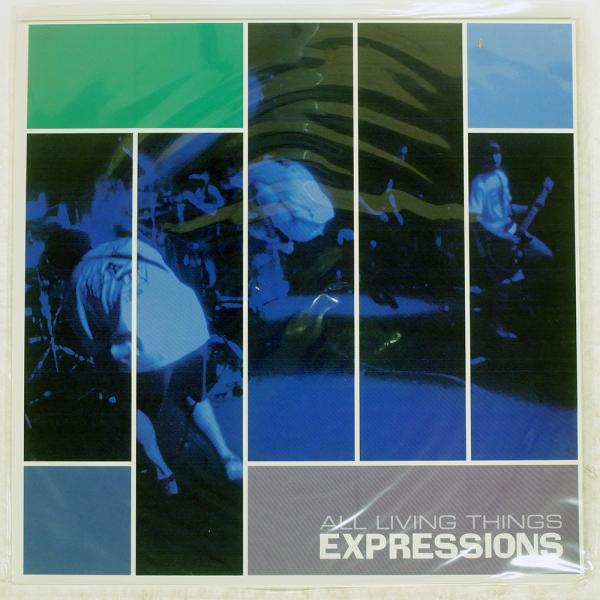 アーティスト：ALL LIVING THINGSタイトル：エクスプレッションズレーベル：BLOOD IN, BLOOD OUT BIBO0007ジャケット：VG+盤：VG+帯：NONEFMT：12枚数：1JAN：コメント：国内盤レビュー：