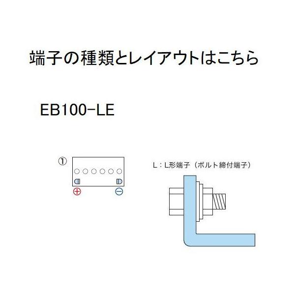 ecovehicle-y_eb100-lex2_1